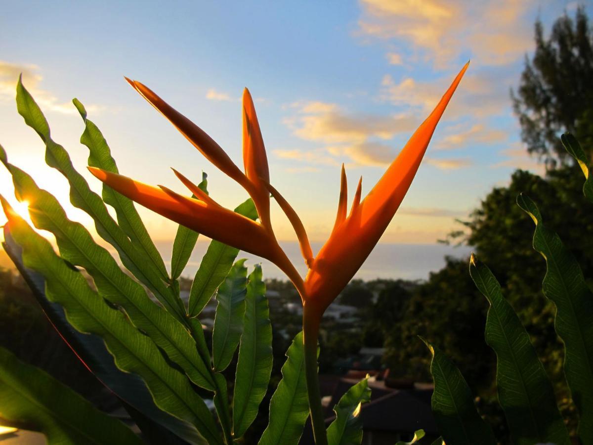 Bounty Lodge Tahiti Arue  Buitenkant foto