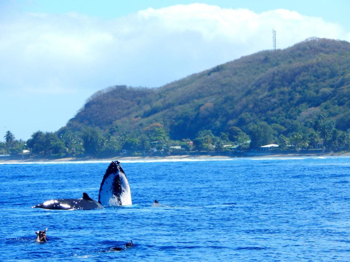 Bounty Lodge Tahiti Arue  Buitenkant foto