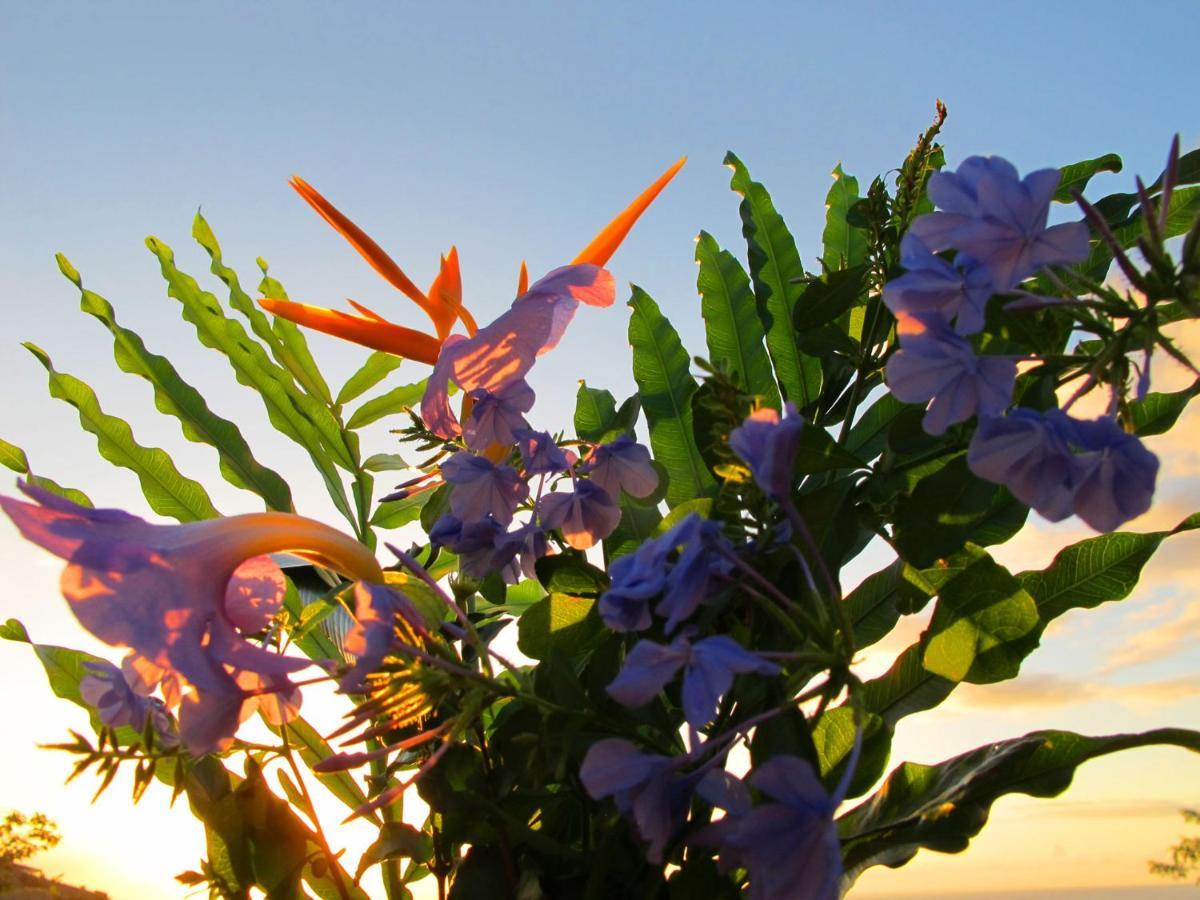 Bounty Lodge Tahiti Arue  Buitenkant foto