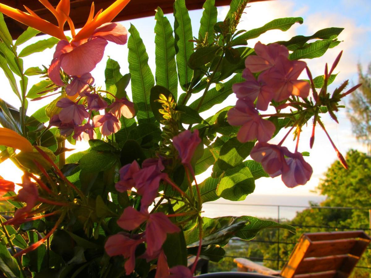 Bounty Lodge Tahiti Arue  Buitenkant foto